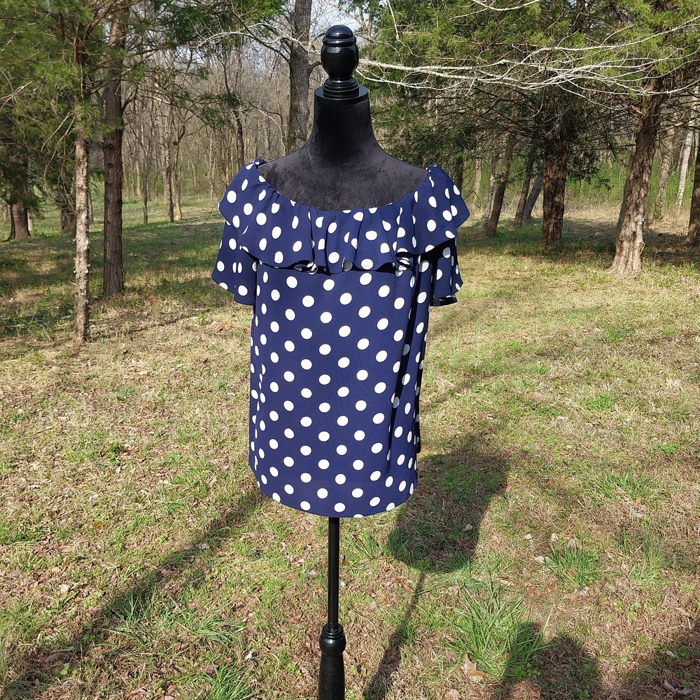 Vine & Love Blue Polka Dot Ruffle Blouse